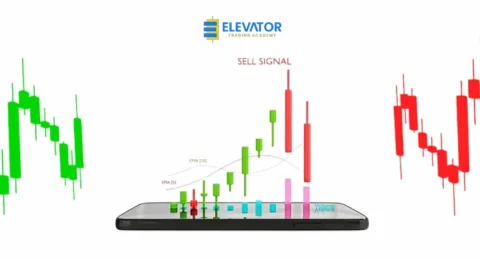A phone that shows forex signals with profit signs