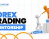 A forex trading mentor trying to help a newbie forex trader