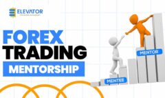 A forex trading mentor trying to help a newbie forex trader