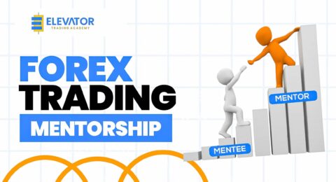 A forex trading mentor trying to help a newbie forex trader