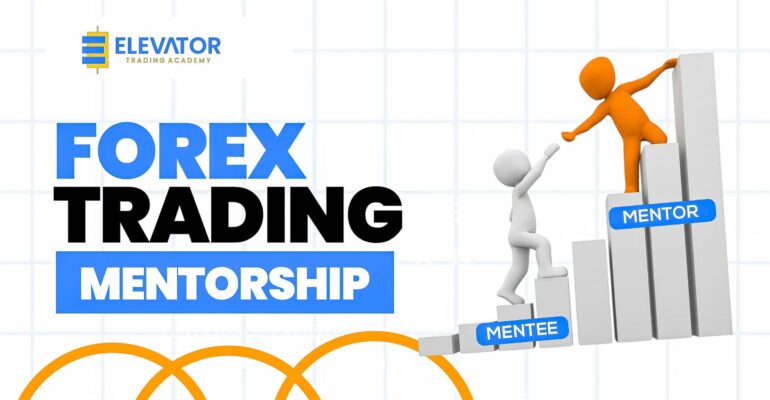 A forex trading mentor trying to help a newbie forex trader